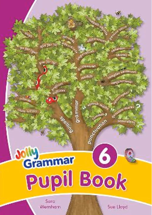 Jolly Grammar Colour Pupil Book 6